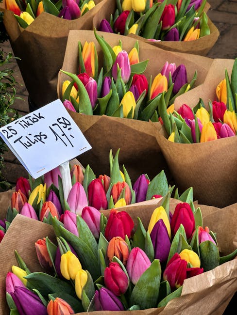 Multiple bouquets of fresh tulips arranged in brown paper wrapping, featuring a vibrant mix of pink, purple, yellow, and orange flowers with green stems and leaves. The tulips are tightly packed, disp